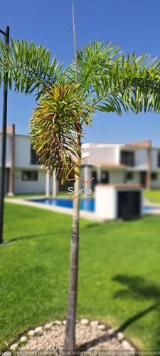Casa En Venta En Oaxtepec Centro, Yautepec, Morelos