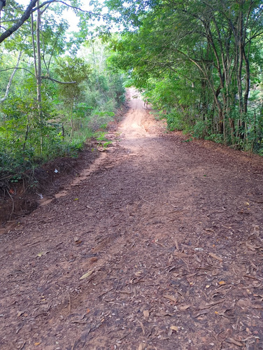 Terreno No Bom Viver, Próximo A Imbassaí Litoral Norte
