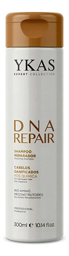 Ykas Dna Repair Shampoo 300 Ml