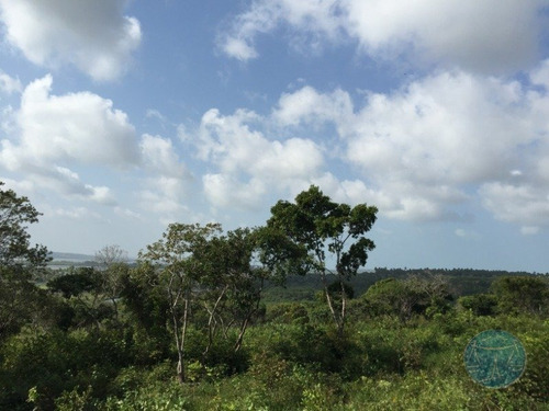 Imagem 3 de 7 de (10244) Terreno Em Tibau Do Sul - V-10244