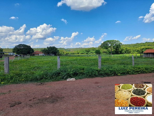 Fazenda Á Venda Em Fátima - To - De 420 Alqueirões (dupla Aptidão) - 1608