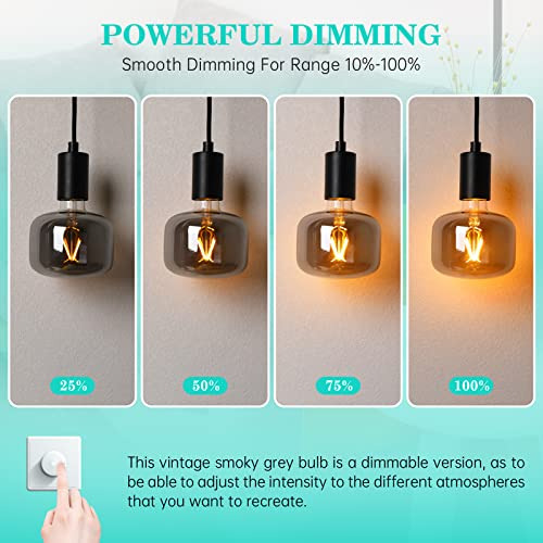Amdtu Bombilla Led Edison Grande De Color Gris Ahumado Regul