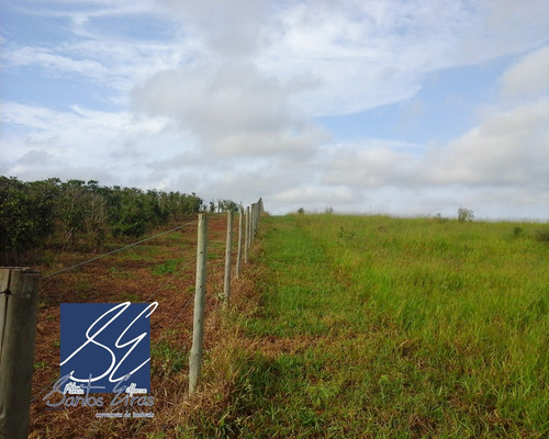 Imagem 15 de 27 de Fazenda - Fa00002 - 4589514
