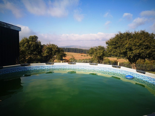 Imagen 4 de 30 de Venta De Chacra Con Vivienda, Ruta 12 Próximo A Pueblo Edén