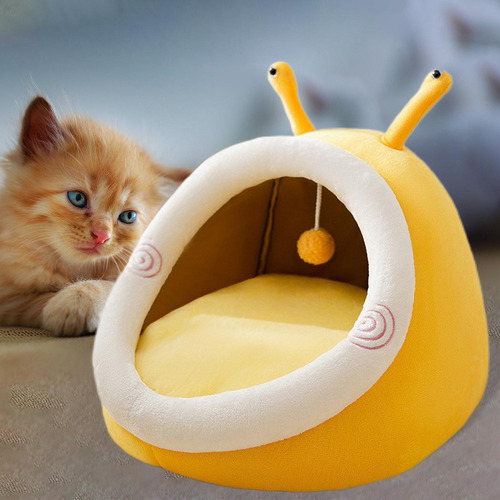 Gran Gato Cueva S Caracoles Caracoles S Caracoles Caracoles