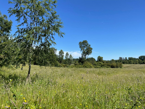 Bello Predio Agrícola 44 Hectareas Entre Villarrica Loncoche