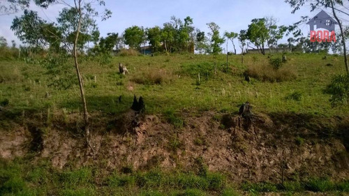 Imagem 2 de 4 de Terreno À Venda, 2000 M² Por R$ 220.000 - Pirucaia - Mairiporã/sp - Te0240