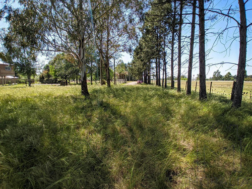 Imagen 10 de 16 de Terreno - Piñero