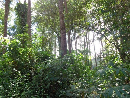 Imagem 6 de 11 de Terrenos Em Loteamento Fechado À Venda Em Mairiporã/sp - Compre O Seu Terrenos Em Loteamento Fechado Aqui! - 1367582