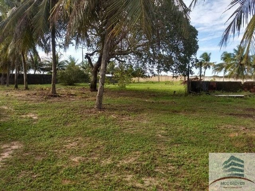 Imagem 9 de 10 de Granja A Venda Em Macaíba