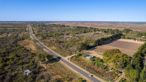 Imagen 6 de 9 de Hectáreas A La Venta En Ruta 1, Arroyo Leyes