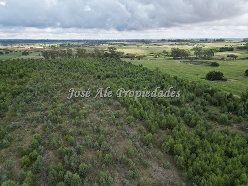 En Venta Campo De 8 Ha Y 8 Hectáreas Y 7883 Metros En Radia
