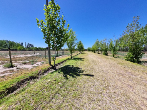 Imagen 10 de 14 de Lote De 1.850 M2 En Barrio 4 Estaciones, Calle Cubillos - Rama Caída