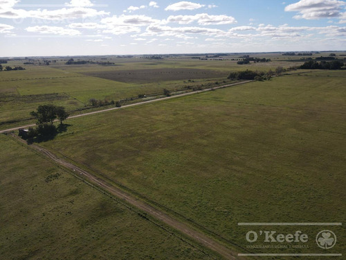 Imagen 8 de 16 de Campo Mixto De 280 Has En Venta Con Inmejorable Acceso Sobre Asfalto En Ranchos - Oportunidad !