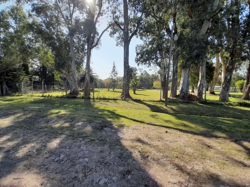 Imagen 11 de 13 de Venta Lote Terreno 3600m2