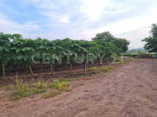 Venta Rancho Los Asmoles Colima