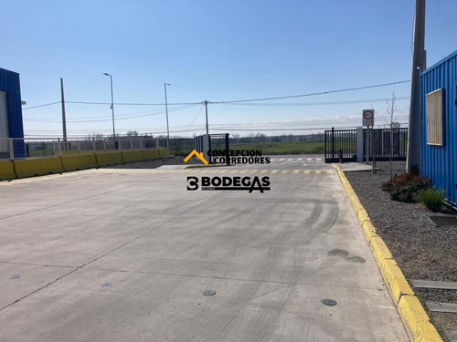 Arriendo Bodega De 300 M2 En Camino A Noviciado.