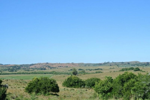Mieres Campo De 22.8 Has Con Buenos Suelos Y Agua Garzon