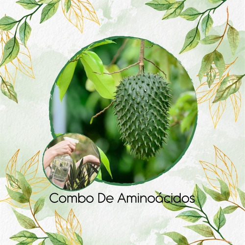 Combo De Aminoacidos Concentrado Guanabana