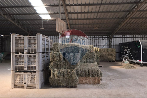 Arriendo De Bodega En Pelarco, Talca