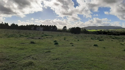 Imagen 3 de 15 de Fracción De Campo Con Costa De Arroyo Y Corriente Eléctrica
