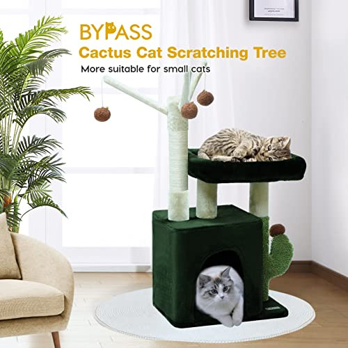 Árbol De Gato De Cactus, Torre Gatos Pequeños Interio...