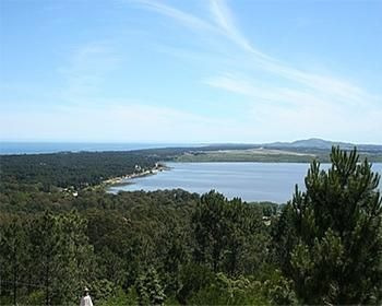 Imagen 2 de 6 de Lote | Ruta 12
