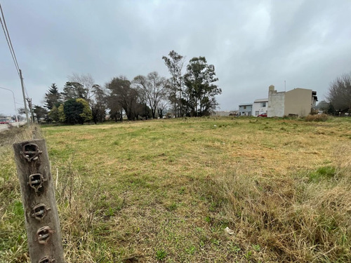 Venta De Lote En Av.actis Esquina Chapaleofu!!!!