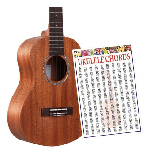 Imagen 3 de 5 de Cartel De Instrucción De Acordes De Ukelele Pósters De L
