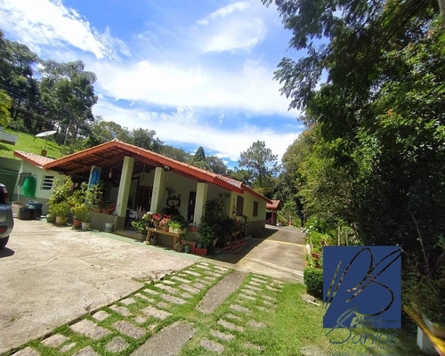 Imagem 2 de 30 de Sitio - St00015 - 69272278