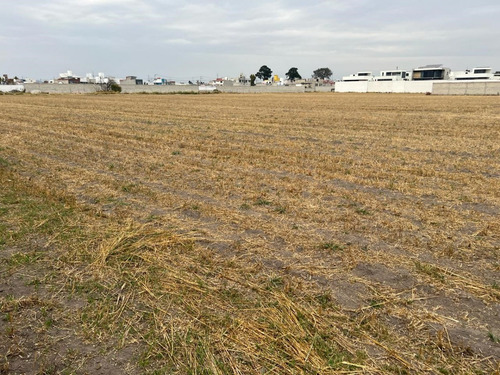 Metepec, Terreno 7000 M2, En Cuadrante Av. Tecnologico Y Las Torres