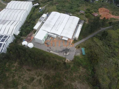 Bodegas En Arriendo Toldas 643-8292032