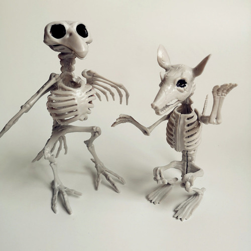 F Animal Skeleton Bones Para La Simulación De Terror De Hall