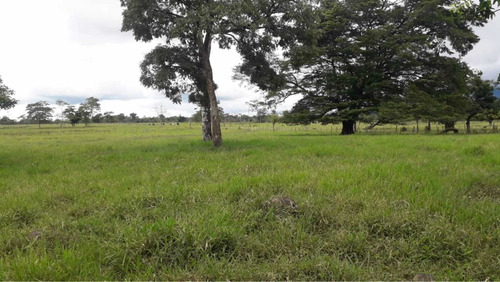 Imagen 13 de 16 de Finca Ganadera Doble Propósito Santo Domingo