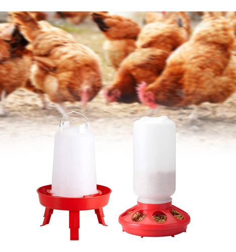 Kits De Comedero Y Bebedero Para, Comedero Para Codornices,