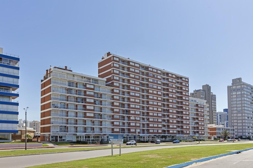 Imagen 11 de 11 de Apartamento Para Alquilar En Temporada Ubicado En Primera Línea Al Mar