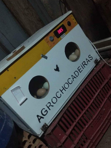 Imagem 1 de 1 de Aula De Chocadeira