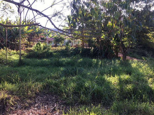 Imagem 6 de 15 de Fazenda - Zona Rural - Ref: 6720 - V-anp6720