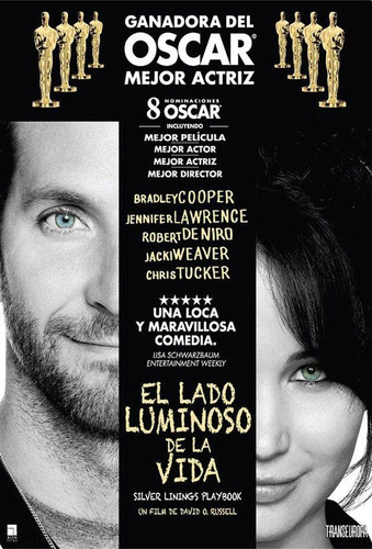 Dvd - El Lado Luminoso De La Vida