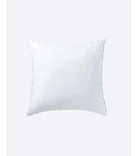 Rellenos De Almohada Cuadrados De 20 X 20 Pulgadas Blanco