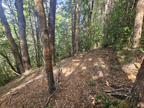 Parcelas En Coñaripe, Rol Propio, Red De Luz Y Agua