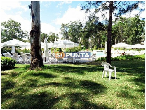 Imagen 24 de 30 de Apartamento En Alquiler Anual