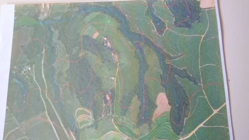 Imagem 10 de 29 de Sitio Com 63 Hectares De Leite Casa Branca Sp 6.500,000,00 - 44800
