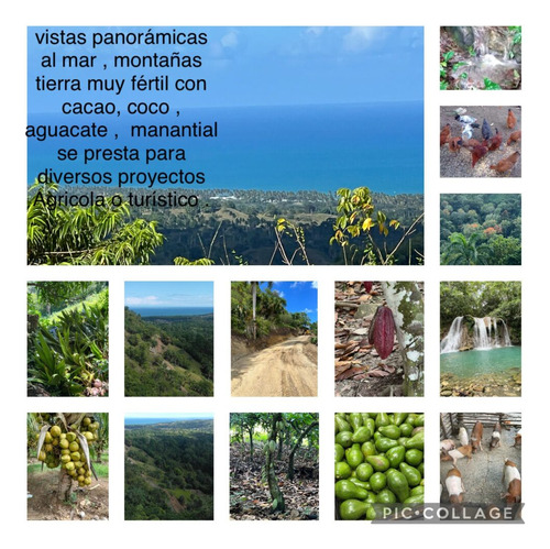 1504- Finca En Gaspar Hernández