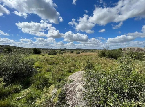Imagen 2 de 15 de Campo Ganadero En San Jose De 126 Ha, Sierra De Mahoma, Ganadero