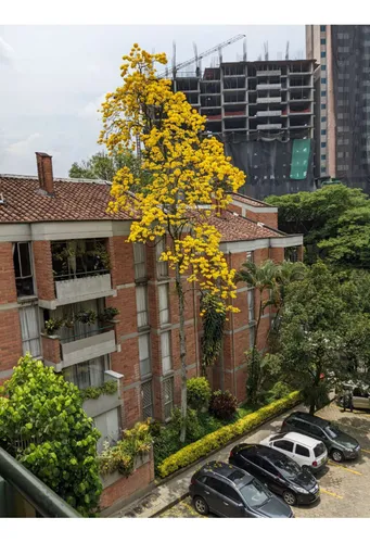 Apartamento En Venta En San Diego. Cod V17476