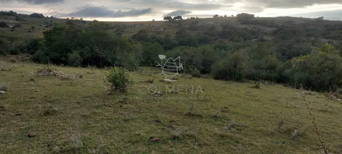 Campo En Carape Son 42 Hs 2293 M2