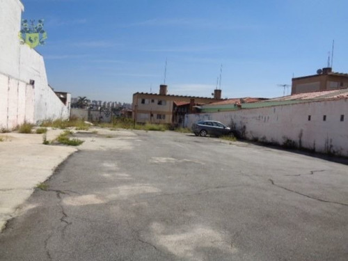 Imagem 2 de 3 de Terreno - Pauliceia - Ref: 1117 - L-3162