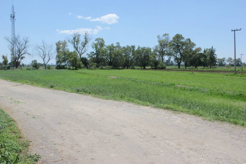 Imagen 7 de 19 de ¡¡atención Inversionistas!! Mega Terreno En Venta ¡excelente Ubicación!
