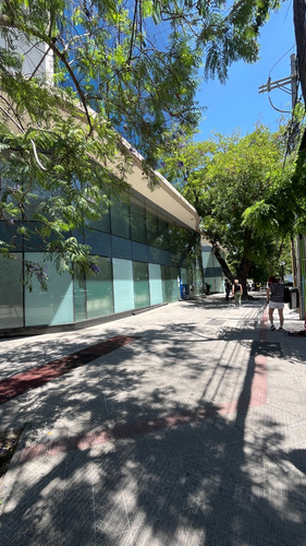 Oficinas 310m2 4b/4e/3bodegas A Pasos Metro P. Valdivia